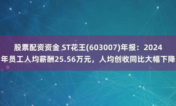股票配资资金 ST花王(603007)年报：2024年员工人均薪酬25.56万元，人均创收同比大幅下降