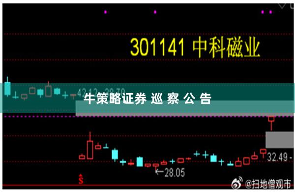 牛策略证券 巡 察 公 告