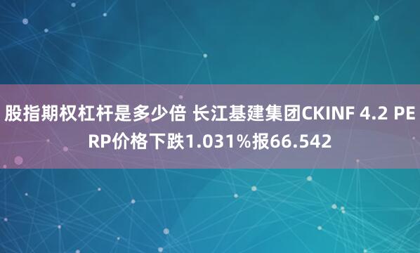 股指期权杠杆是多少倍 长江基建集团CKINF 4.2 PERP价格下跌1.031%报66.542