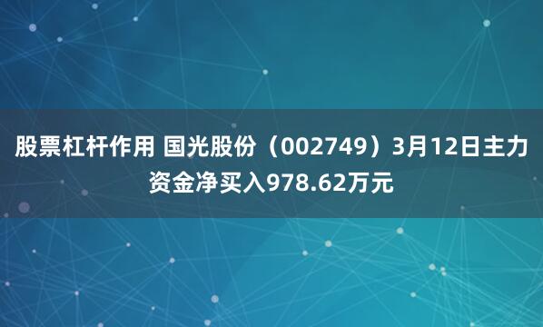 股票杠杆作用 国光股份（002749）3月12日主力资金净买入978.62万元