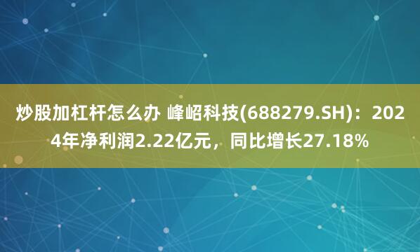 炒股加杠杆怎么办 峰岹科技(688279.SH)：2024年净利润2.22亿元，同比增长27.18%