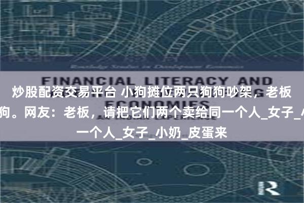 炒股配资交易平台 小狗摊位两只狗狗吵架，老板一招制服小狗。网友：老板，请把它们两个卖给同一个人_女子_小奶_皮蛋来