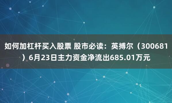 如何加杠杆买入股票 股市必读：英搏尔（300681）6月23日主力资金净流出685.01万元