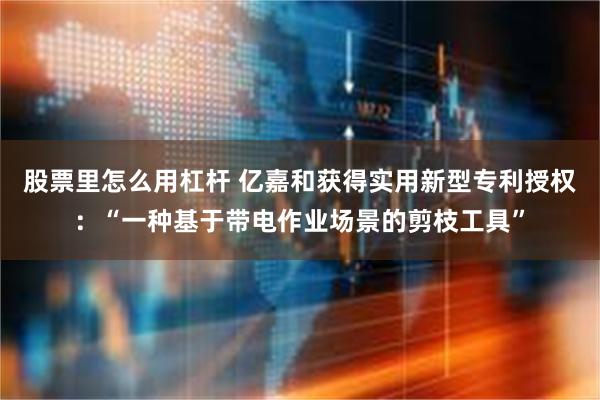 股票里怎么用杠杆 亿嘉和获得实用新型专利授权：“一种基于带电作业场景的剪枝工具”