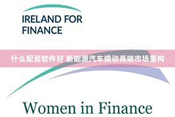 什么配资软件好 新能源汽车撬动高端市场重构