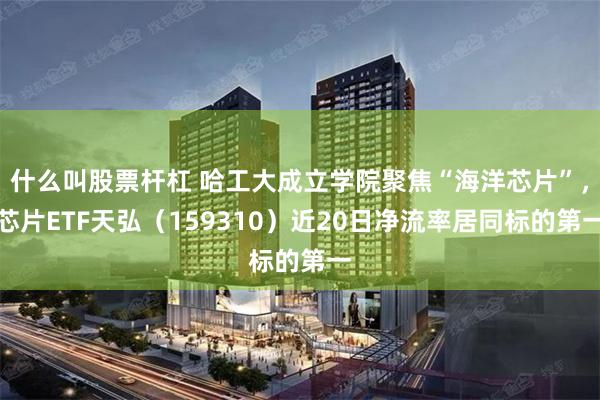 什么叫股票杆杠 哈工大成立学院聚焦“海洋芯片”，芯片ETF天弘（159310）近20日净流率居同标的第一